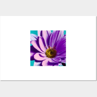 Large Purple Flower Posters and Art